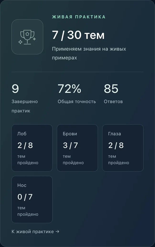 Статистика живой практики: темы, завершения, точность и ответы